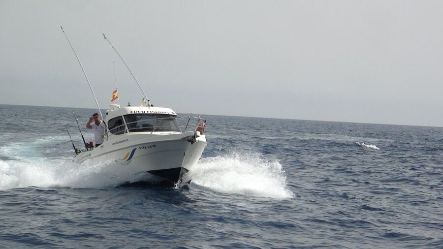 Adeje: 3.5–Hour Professional Fishing Experience - What the 3.5-hour fishing trip is really like