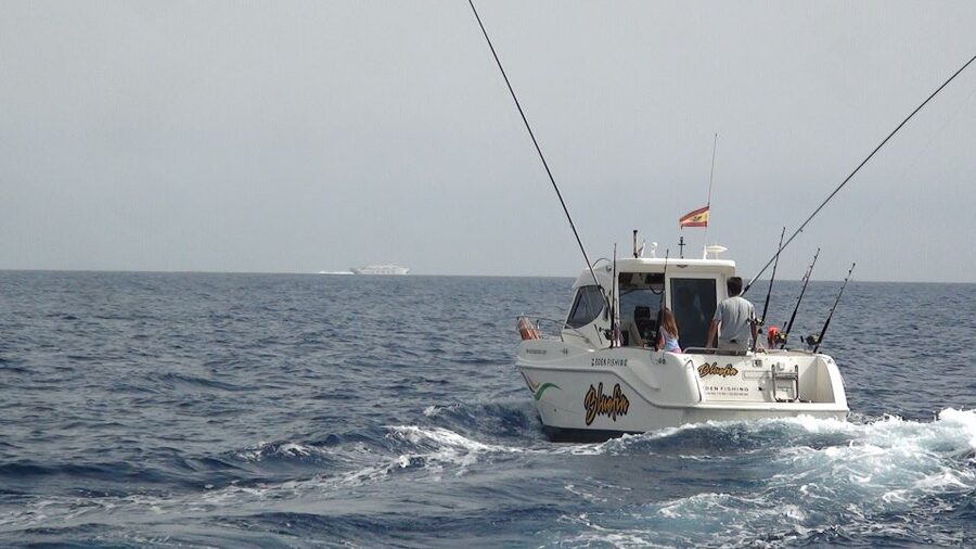 Adeje: 3.5–Hour Professional Fishing Experience - Leaving Puerto Colón and finding your boat