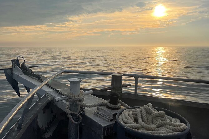 Afternoon Fishing - Should You Book the Afternoon Fishing Trip?