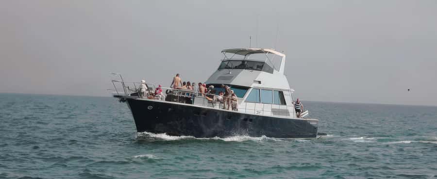 Agadir: Half-Day Boat Trip with Fishing and BBQ Lunch - Who will enjoy this boat trip most