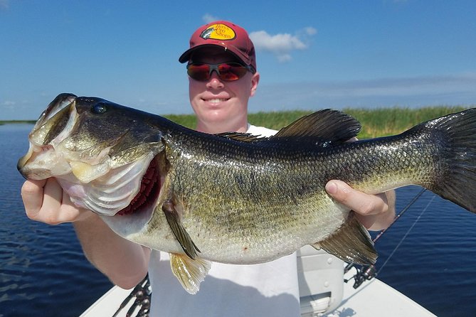 All Day Lake Okeechobee Fishing Trip near Fort Pierce - Wildlife, views, and the parts between bites
