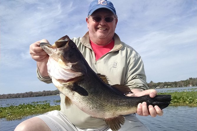 All Day Lake Toho Fishing Trip near Kissimmee - Bald eagles, alligators, and the quieter side of Kissimmee