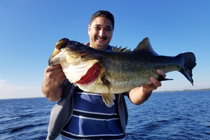 All Day Lake Toho Fishing Trip near Kissimmee - Practical details before you book