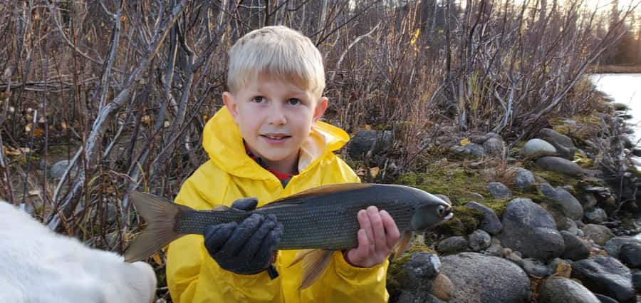 Anchorage: Full-day guided fly-fishing with Hotel Pickup - What the transport time adds, and what it costs