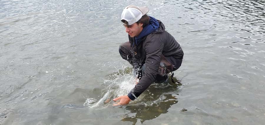 Anchorage: Full-day guided salmon fishing with Hotel Pickup - Should you book the Anchorage salmon fishing trip?