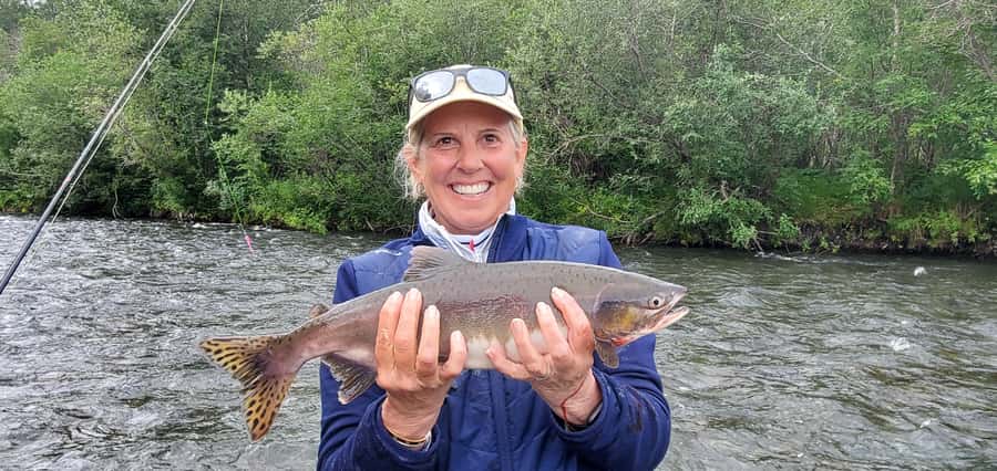 Anchorage: Full-day guided salmon fishing with Hotel Pickup - Choosing between king, red, silver, pink, and chum salmon