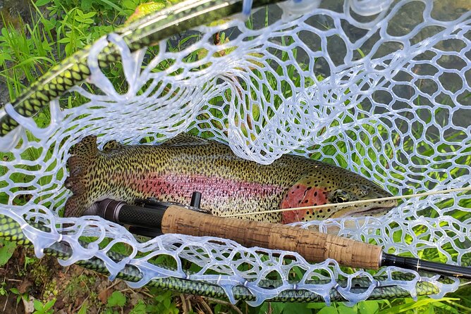 Anchorage Guided Fly-fishing with transportation - The walk can be harder than the casting