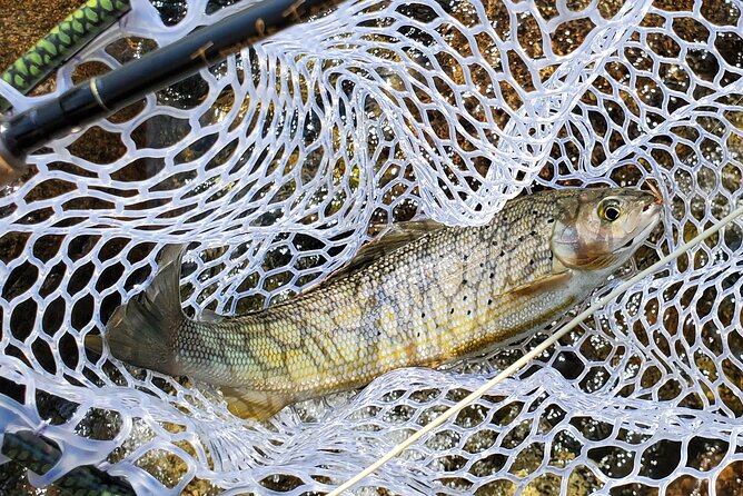 Anchorage Guided Fly-fishing with transportation - What the $339 price really covers