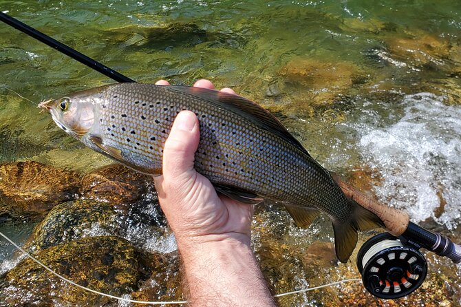Anchorage Guided Fly-fishing with transportation - Weather, cancellations, and sensible planning