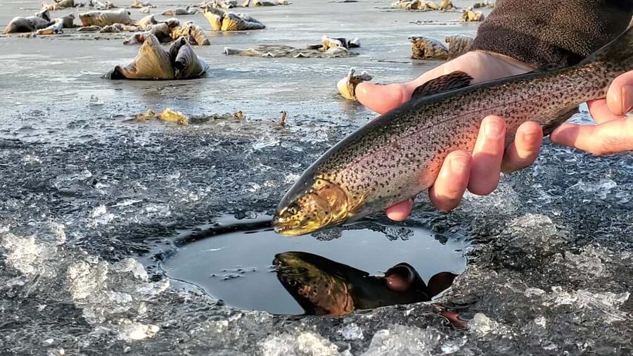 Anchorage: Ice Fishing Trip With Transportation - Drilling through the ice and learning the basics