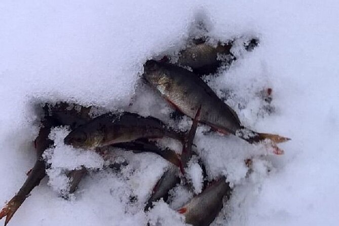 Arctic Day with Ice Fishing and Floating - Getting started from central Rovaniemi