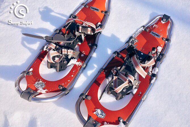 Arctic Ice Fishing by Snowshoe - Timing, season, and cancellation details