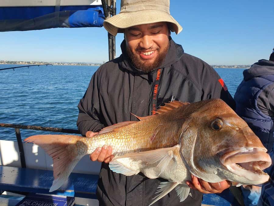 Auckland: Full-Day Fishing Charter (7 am - 4 pm) - Packing lunch, bait, and a chilly bin