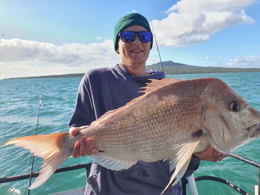 Auckland: Twilight Fishing Charter 5pm - 9:30pm - Setting out from Z Pier at Westhaven Marina