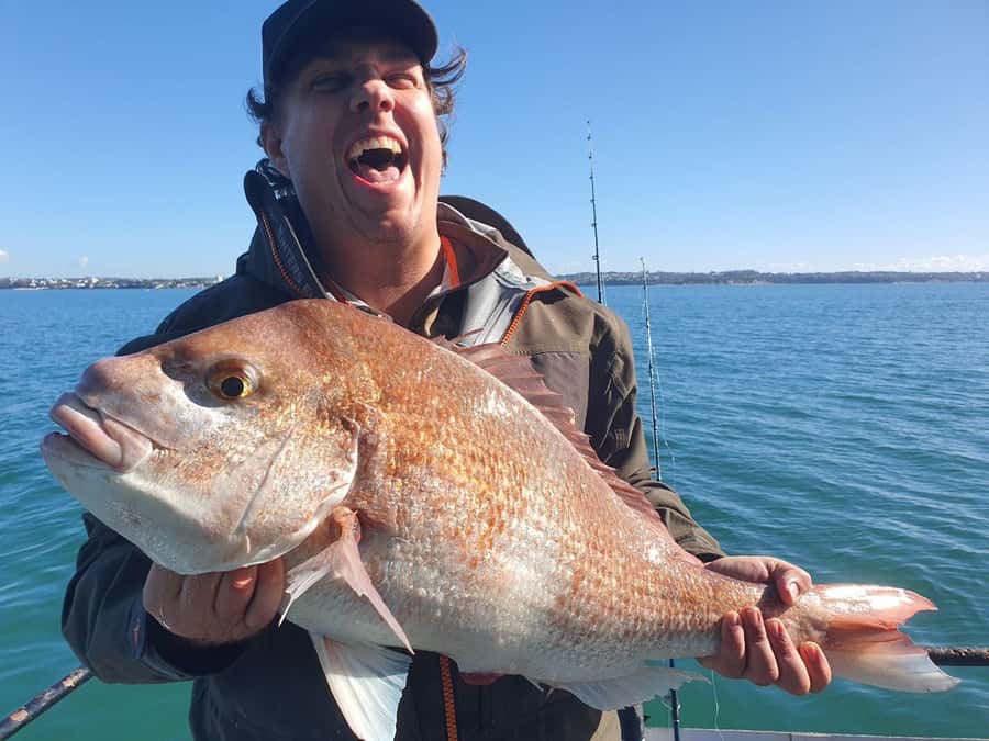 Auckland: Twilight Fishing Charter 5pm - 9:30pm - Fishing for snapper, kahawai, and gurnard