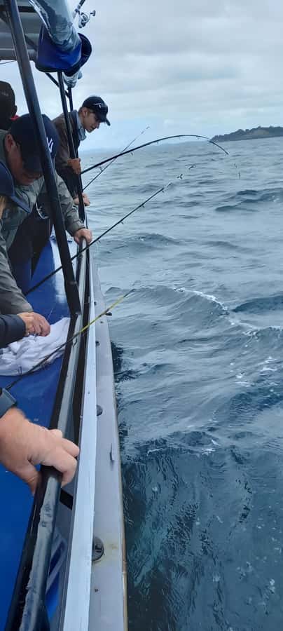 Auckland: Twilight Fishing Charter 5pm - 9:30pm - The rod and bait confusion, explained
