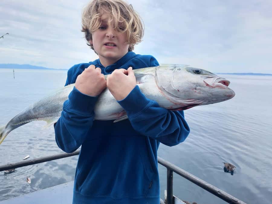 Auckland: Twilight Fishing Charter 5pm - 9:30pm - Bring your own dinner for a simple evening afloat
