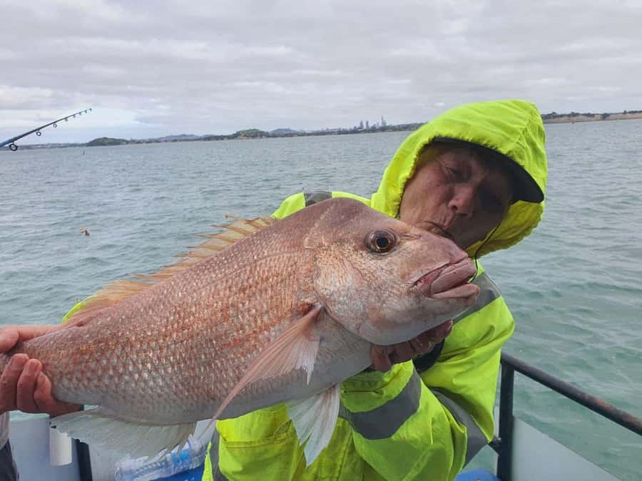 Auckland: Twilight Fishing Charter 5pm - 9:30pm - Who will enjoy this twilight charter most?