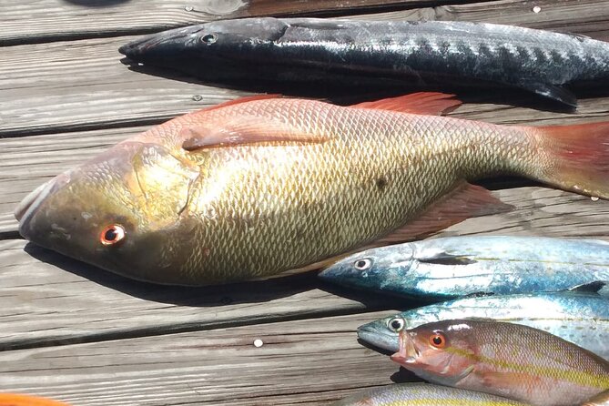 Bahamas Deep Sea Fishing - Reef fishing for snapper and mackerel