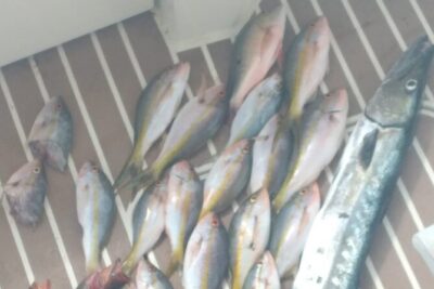 Bahamas Deep Sea Fishing