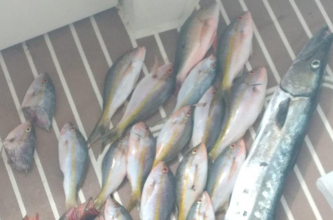 Bahamas Deep Sea Fishing - Weather, cancellation, and practical planning