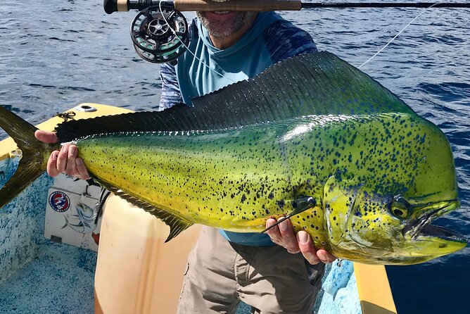 Baja Fishing Dream Roosterfish Dorado Marlin Yellowtail Tuna - Why Ensenada de Muertos is a serious fishing base