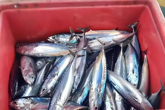 Bali: Fishing Charter Private Boat - What the fishing session is really like