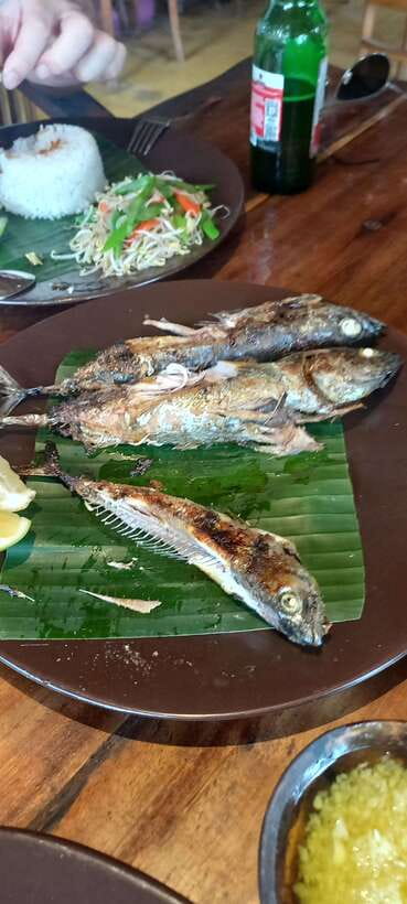 Bali : Fishing Trip & Blue lagoon Snorkeling : All Inclusive - Mount Agung from the Indian Ocean