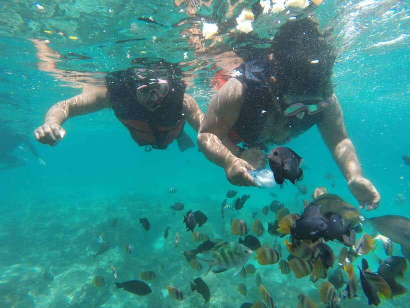 Bali : Fishing Trip & Blue lagoon Snorkeling : All Inclusive - Who will enjoy this most