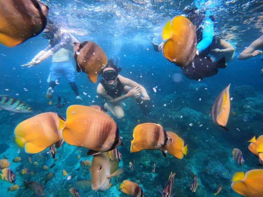 Bali Full Day Trip Fishing, Snorkeling,Eat in Candidasa - Key points to know before booking