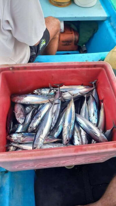 Bali: Private Fishing Trip with Lunch