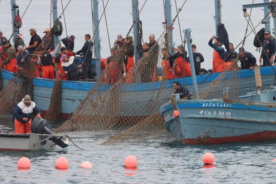 Barbate: Boat Tour to the Almadraba of Conil (Tuna Fishing) - Why the Conil Almadraba matters