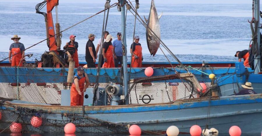 Barbate: Boat Tour to the Almadraba of Conil (Tuna Fishing) - Leaving Barbate for the fishing grounds