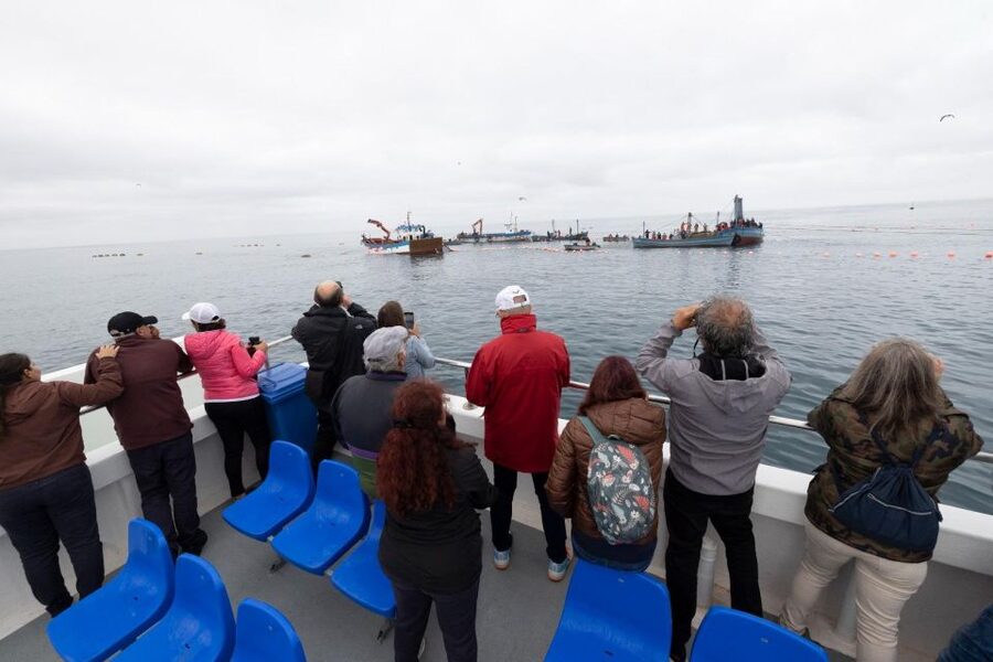Barbate: Boat Tour to the Almadraba of Conil (Tuna Fishing) - Who will enjoy this trip most