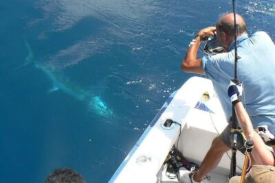 Barcelona: Coastal Fishing Trip