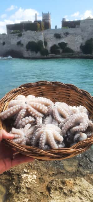 Bari: Fishing experience aboard an authentic fishing boat - Choosing trolling or octopus fishing