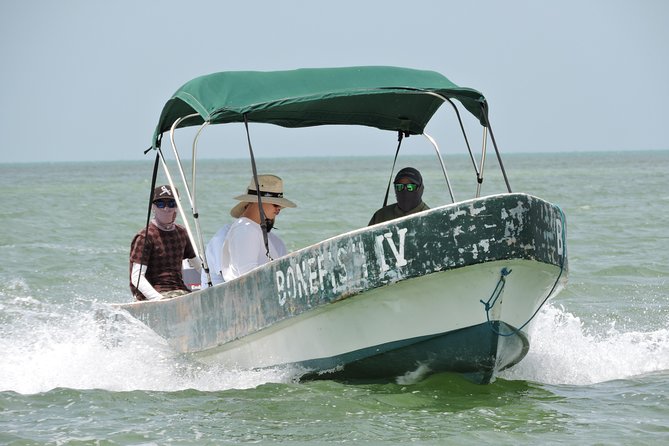 Barracuda Fishing Day Cancun - Why Barracuda Makes This Cancun Trip Different