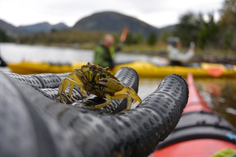 Bergen: Guided Fishing Tour with Outdoor Cooking - Cooking in the old sea house