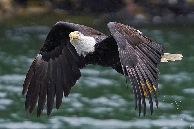Bering Sea Crab Fisherman's Tour from Ketchikan - What you get for $249