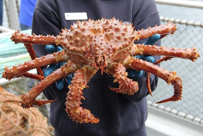 Bering Sea Crab Fisherman's Tour from Ketchikan - From Berth 3509 to Annette Bay