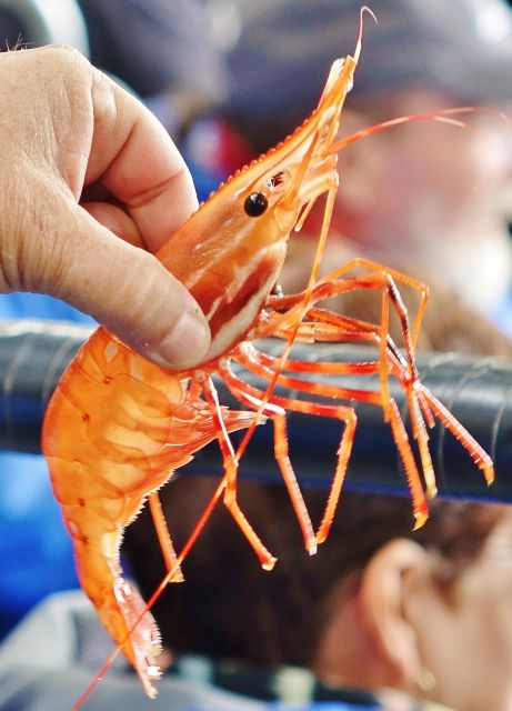 Bering Sea Crab Fishermen's Tour - Fishermen’s stories make the trip personal