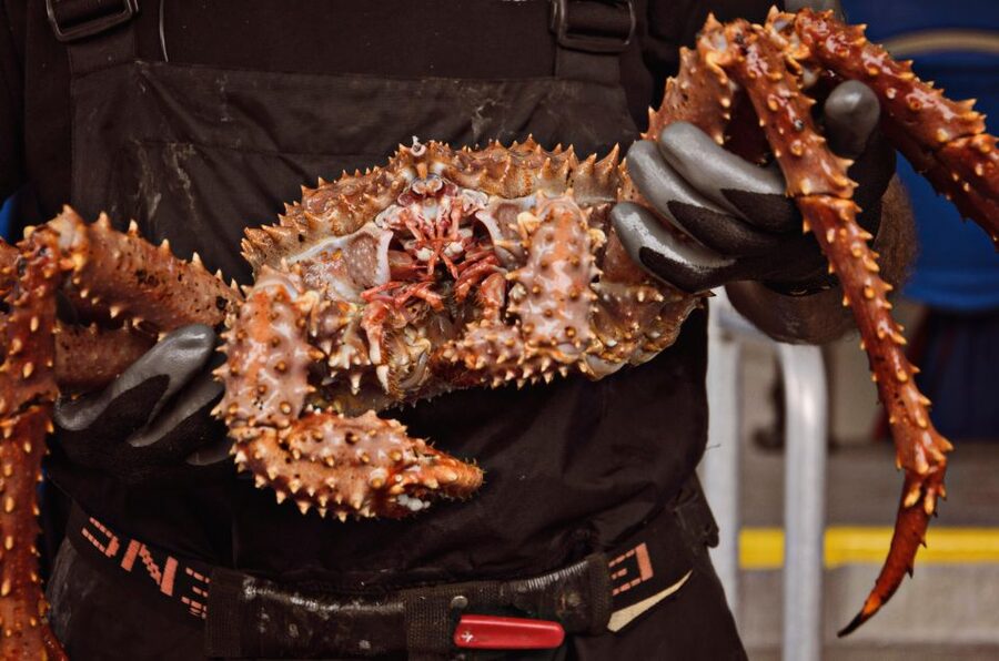 Bering Sea Crab Fishermen's Tour - Should you book the Bering Sea Crab Fishermen’s Tour?