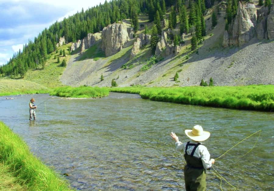 Big Sky: Learn to Fly Fish on the Gallatin River (3 hours) - What the First Hour Teaches You