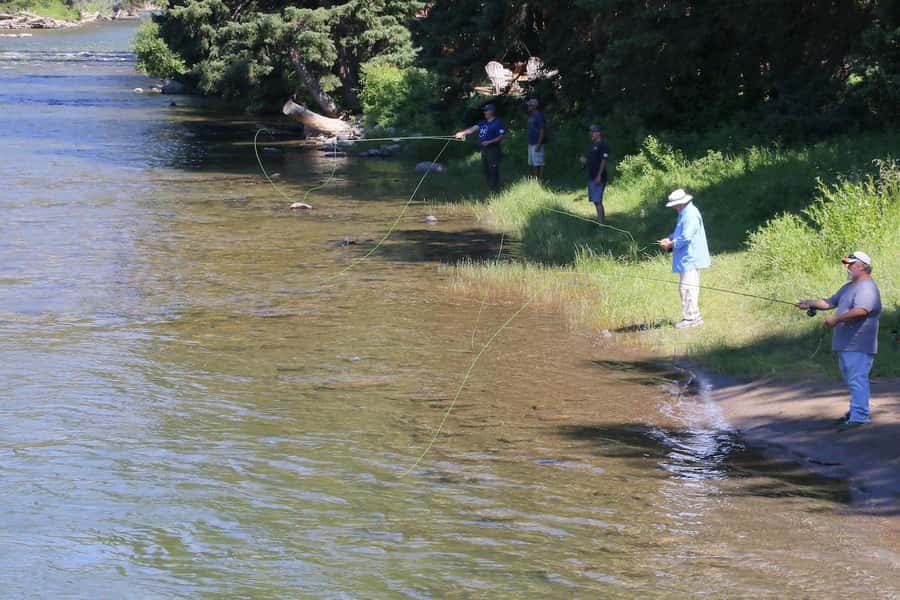 Big Sky: Learn to Fly Fish on the Gallatin River (3 hours) - What the $110 Price Really Covers