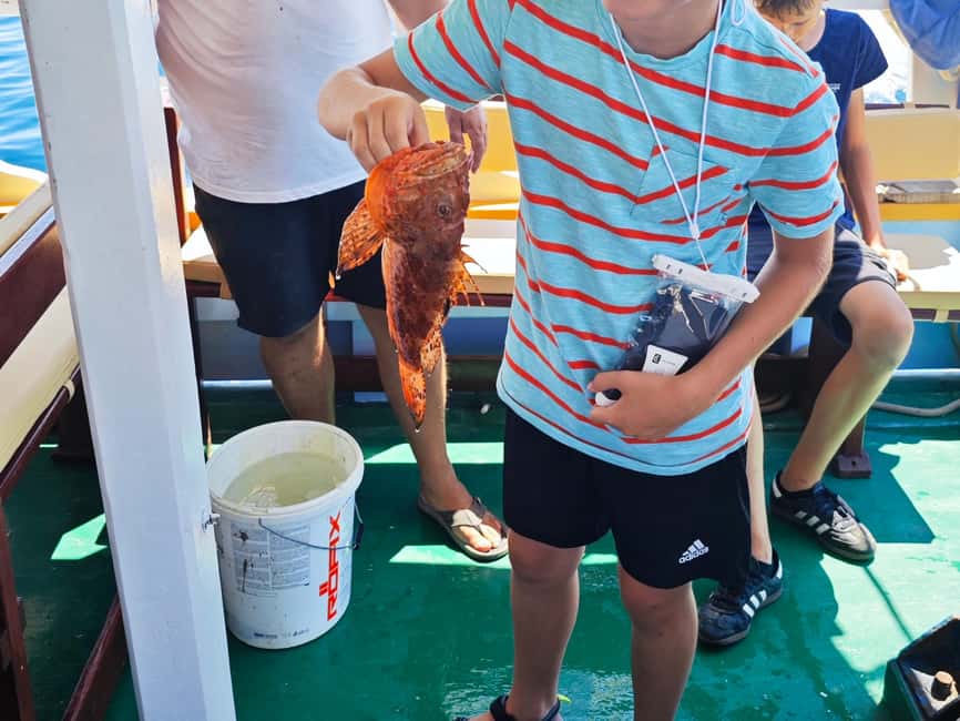 Biograd: Authentic Family friendly Fishing tour in Croatia. - A real fishing boat, not a quick harbor excursion