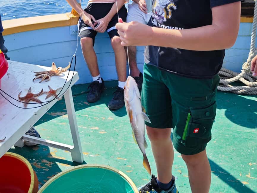 Biograd: Authentic Family friendly Fishing tour in Croatia. - Dolphins, swimming, and Vrgada’s quiet shore