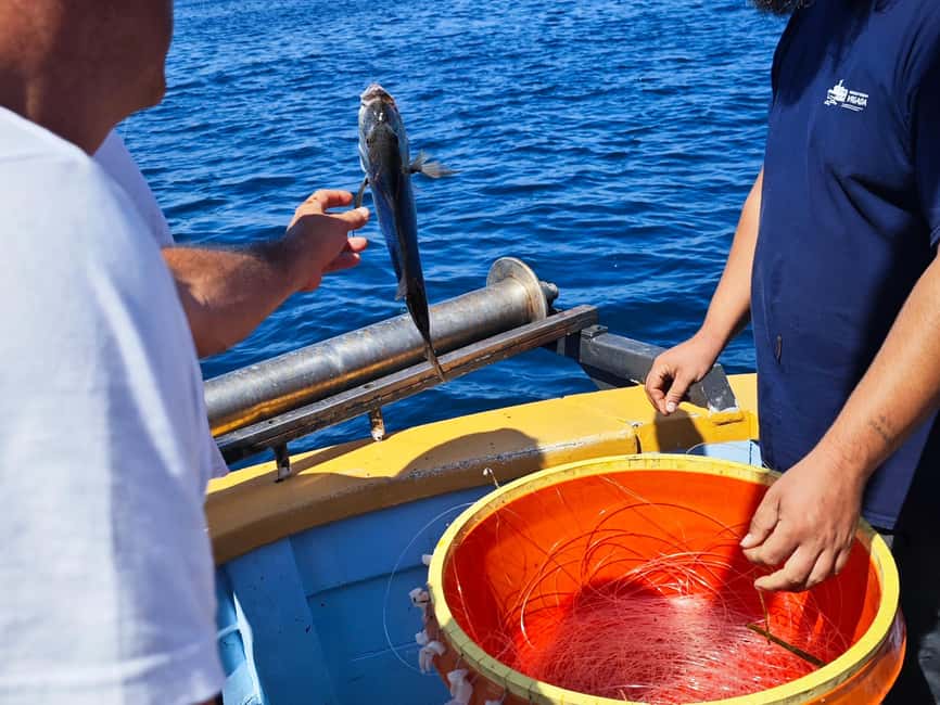 Biograd: Authentic Family friendly Fishing tour in Croatia. - Is nine hours too long for children?