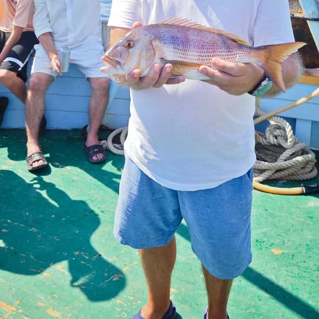 Biograd: Authentic Family friendly Fishing tour in Croatia. - Who should book this Vrgada fishing day?