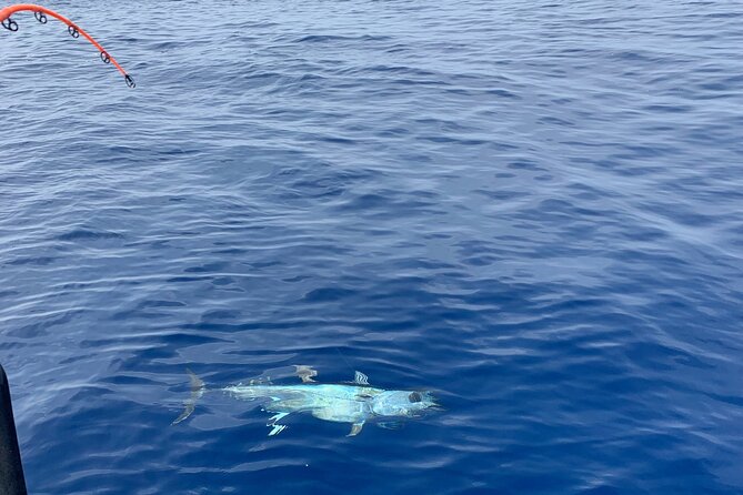 Bluefin Tuna Fishing Charter in the Egadi Islands - Favignana gives the day its first island setting