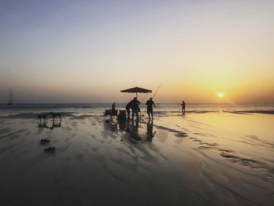 Boa Vista Island: Fishing with local fishermen - A chance to spot turtles and lemon sharks